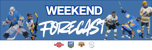 Copy of USPHLWranglers Header